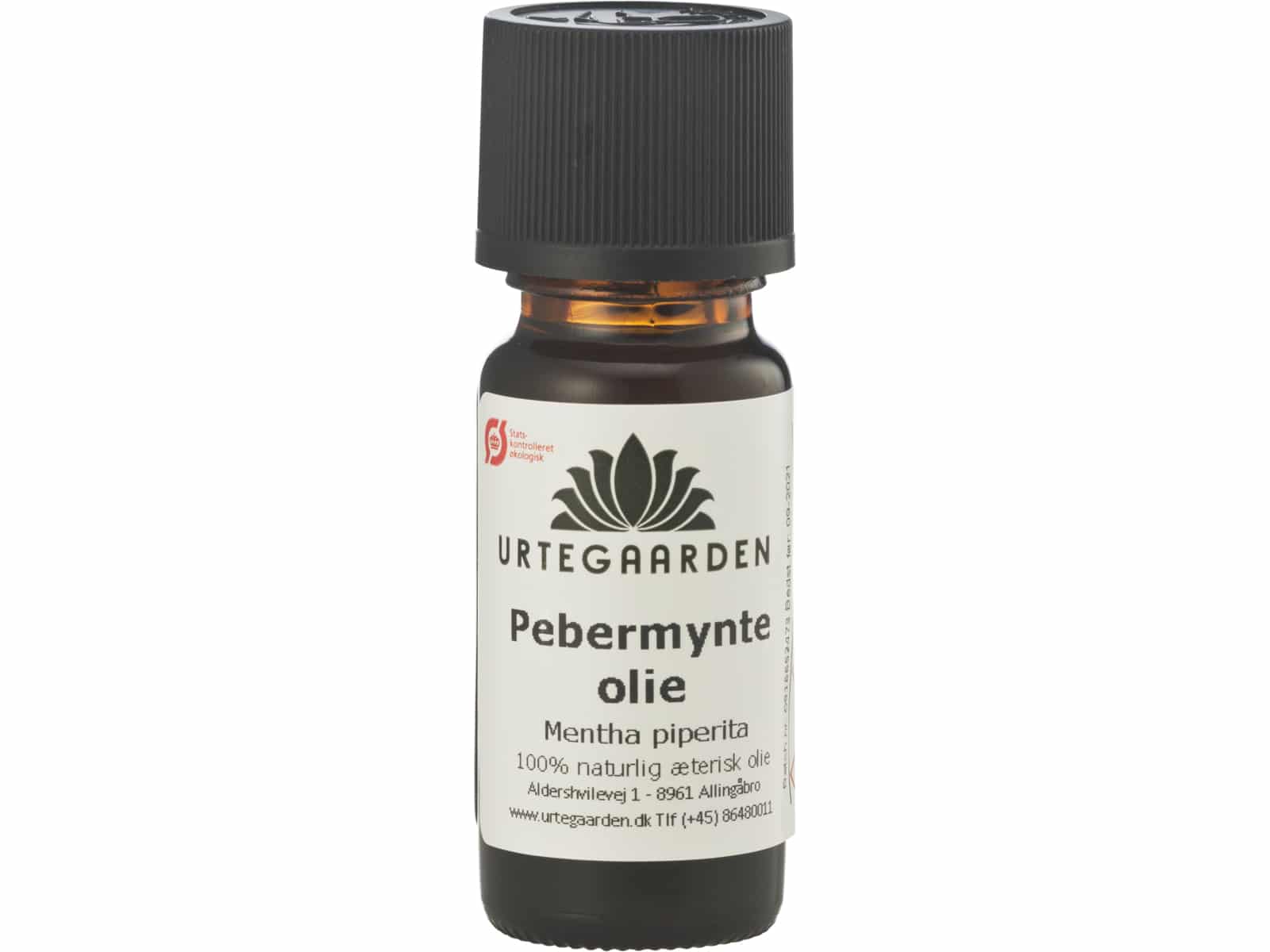 Peppermynte Økologisk