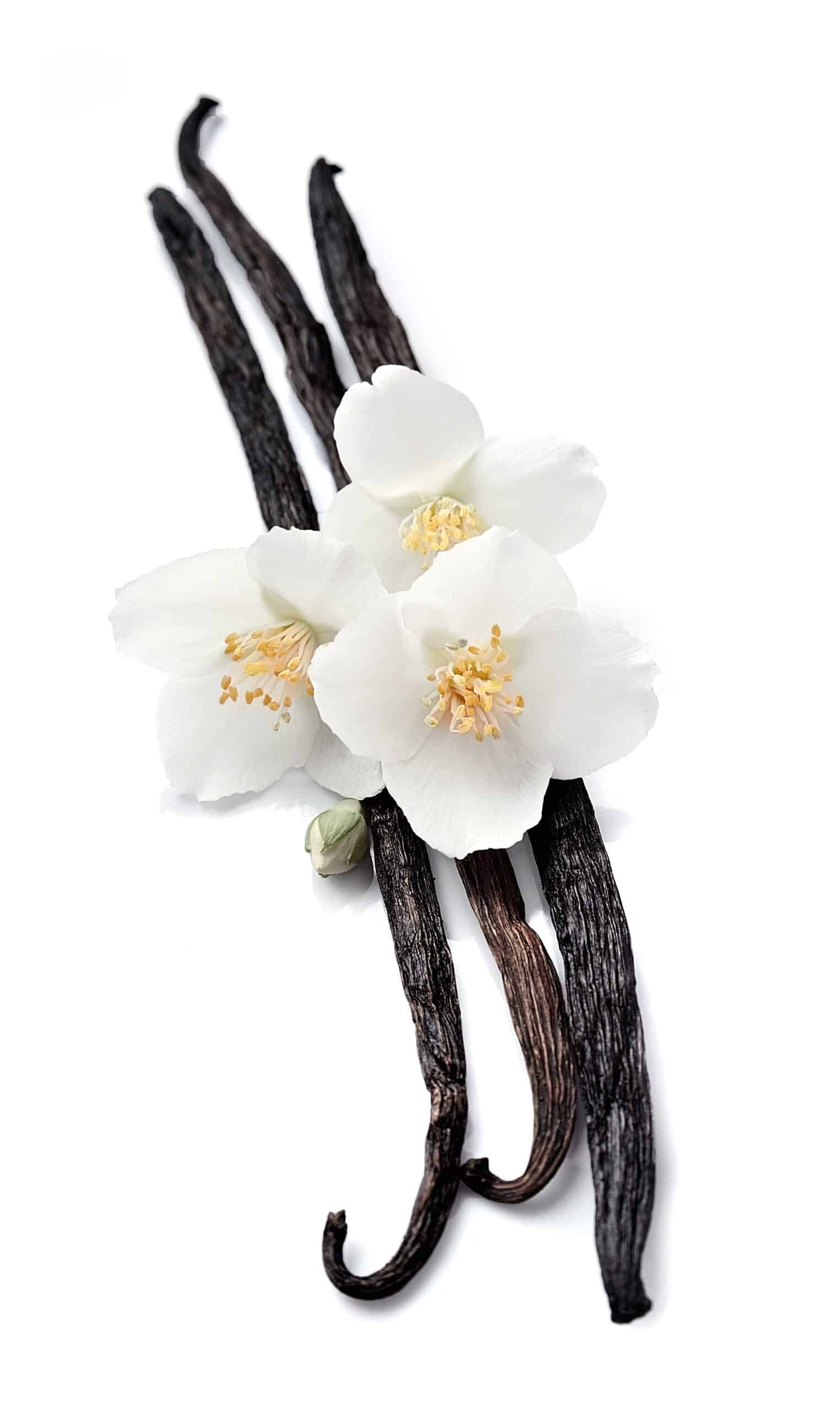 Duftolje Vanilje 1 liter-utsolgt-